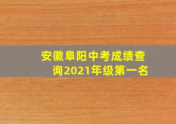 安徽阜阳中考成绩查询2021年级第一名