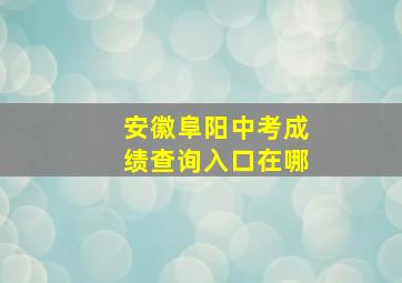 安徽阜阳中考成绩查询入口在哪