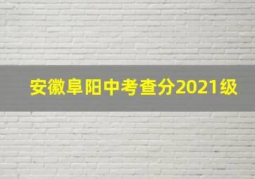 安徽阜阳中考查分2021级