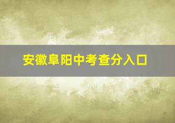 安徽阜阳中考查分入口