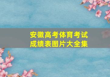 安徽高考体育考试成绩表图片大全集