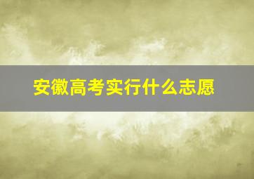 安徽高考实行什么志愿