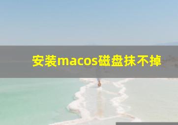 安装macos磁盘抹不掉