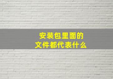 安装包里面的文件都代表什么