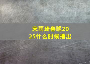 宋雨琦春晚2025什么时候播出