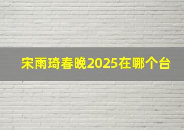 宋雨琦春晚2025在哪个台