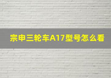 宗申三轮车A17型号怎么看