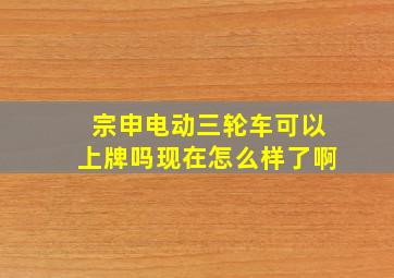 宗申电动三轮车可以上牌吗现在怎么样了啊