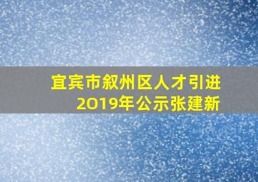 宜宾市叙州区人才引进2O19年公示张建新