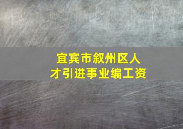 宜宾市叙州区人才引进事业编工资