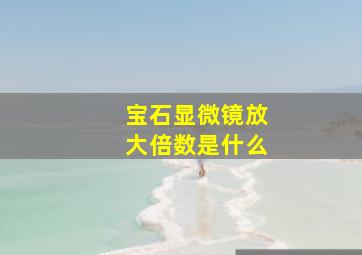 宝石显微镜放大倍数是什么