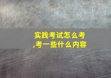 实践考试怎么考,考一些什么内容