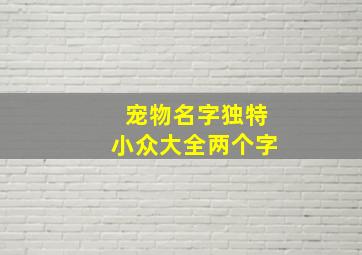 宠物名字独特小众大全两个字