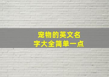 宠物的英文名字大全简单一点