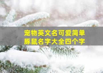 宠物英文名可爱简单豚鼠名字大全四个字