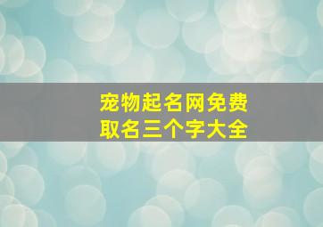 宠物起名网免费取名三个字大全