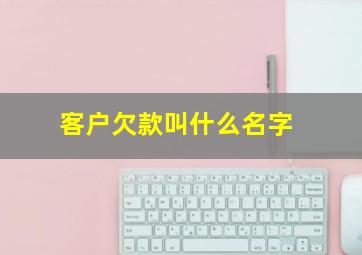 客户欠款叫什么名字