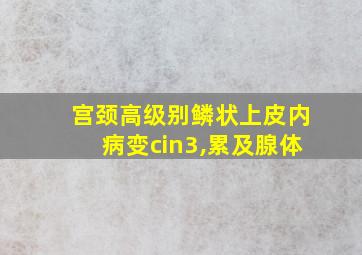 宫颈高级别鳞状上皮内病变cin3,累及腺体