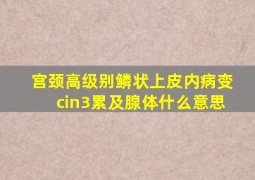 宫颈高级别鳞状上皮内病变cin3累及腺体什么意思