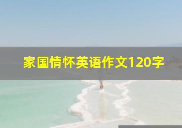 家国情怀英语作文120字