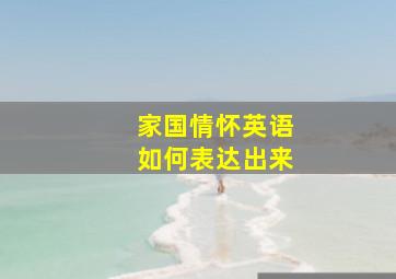 家国情怀英语如何表达出来