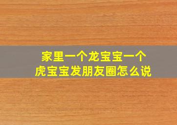 家里一个龙宝宝一个虎宝宝发朋友圈怎么说