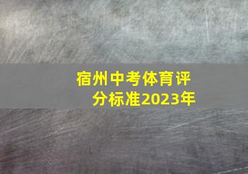 宿州中考体育评分标准2023年