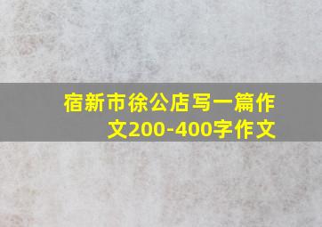 宿新市徐公店写一篇作文200-400字作文