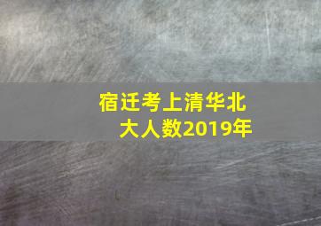 宿迁考上清华北大人数2019年