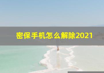 密保手机怎么解除2021