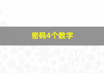 密码4个数字