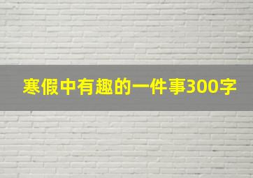 寒假中有趣的一件事300字