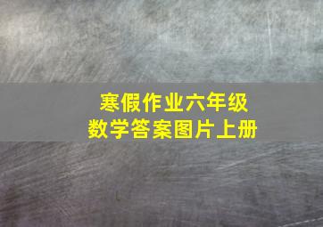 寒假作业六年级数学答案图片上册