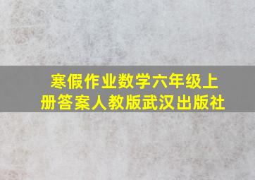 寒假作业数学六年级上册答案人教版武汉出版社