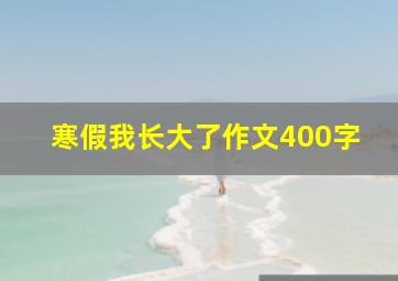 寒假我长大了作文400字