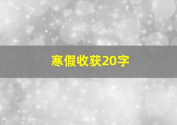 寒假收获20字