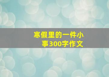 寒假里的一件小事300字作文