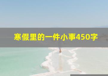 寒假里的一件小事450字