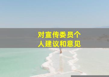 对宣传委员个人建议和意见