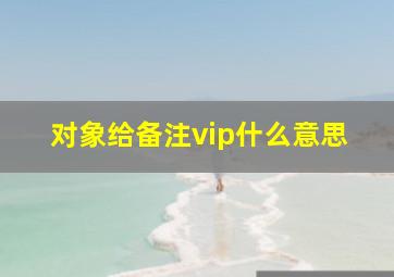 对象给备注vip什么意思