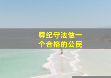 尊纪守法做一个合格的公民