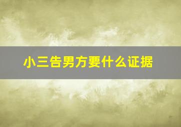 小三告男方要什么证据