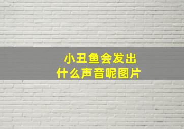 小丑鱼会发出什么声音呢图片