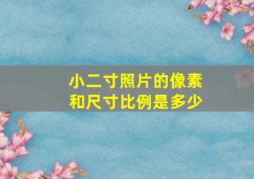 小二寸照片的像素和尺寸比例是多少