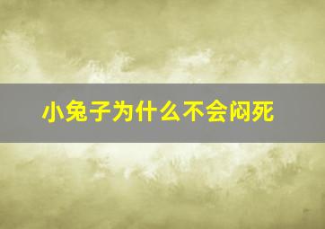 小兔子为什么不会闷死