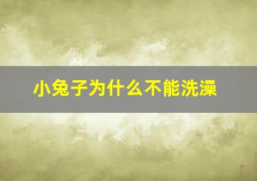 小兔子为什么不能洗澡