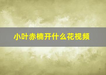 小叶赤楠开什么花视频