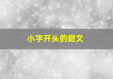 小字开头的甜文