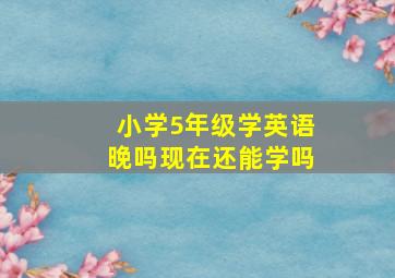 小学5年级学英语晚吗现在还能学吗