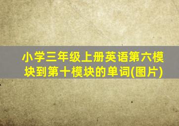 小学三年级上册英语第六模块到第十模块的单词(图片)